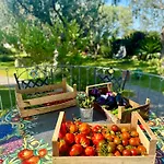 Boutique Ideal Forio (Isola d'Ischia)