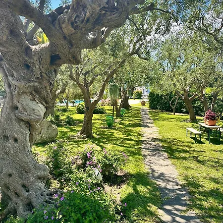Boutique Ideal Hotel Ischia