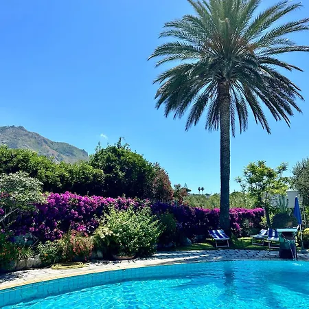 Boutique Ideal Forio di Ischia