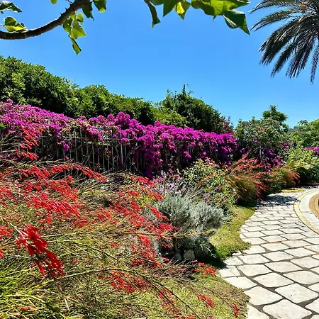 Hotel Boutique Ideal Ischia