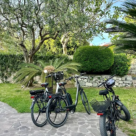 Boutique Ideal 4*