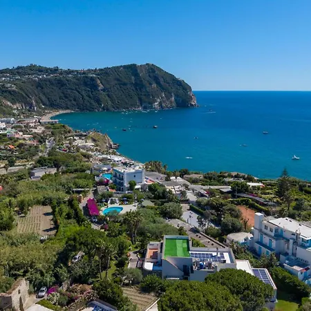Boutique Ideal Hotel 4*