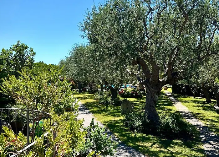 Hotel Boutique Ideal *