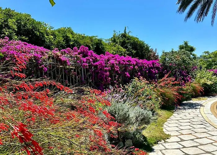 Hotel Boutique Ideal Forio di Ischia